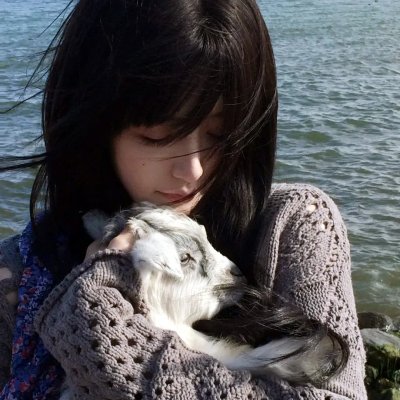 迷雾森林十八年